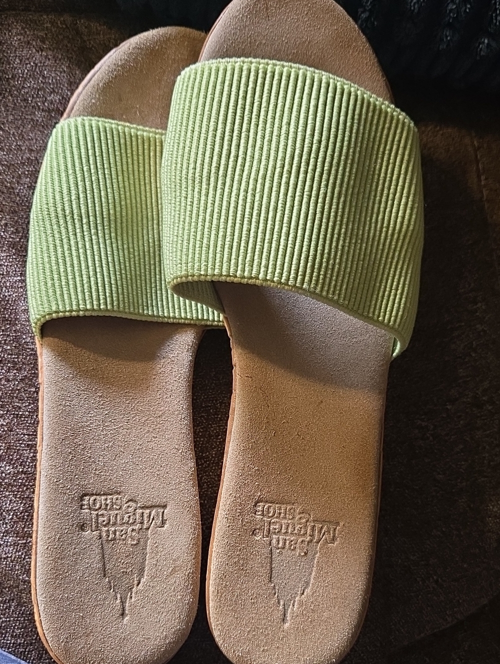 Slip-On Slide Sandals in Light Green